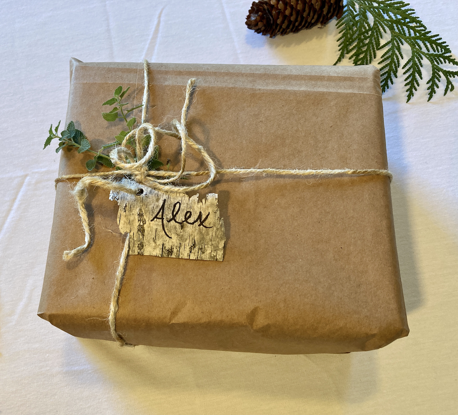 12 Alternatives to Wrapping Paper Frugal and Festive Homegrown Hillary