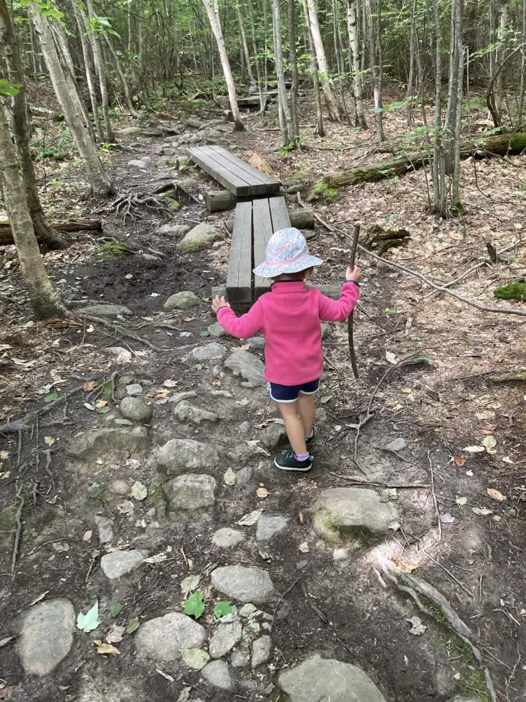 nature walk with toddlers